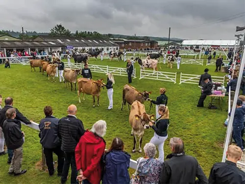 Great Yorkshire Show Minibus Hire