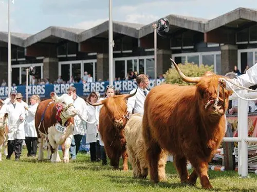 Royal Highland Show Minibus Hire